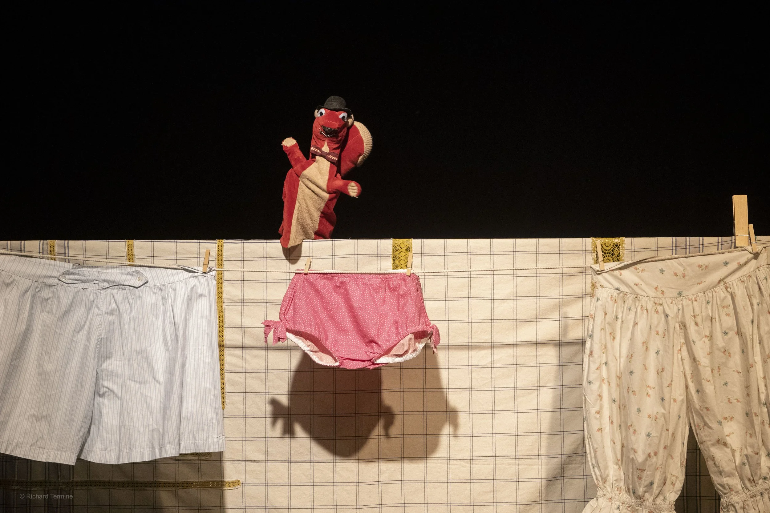 SquirrelStoleMyUnderpants3_photobyRichardTermine.JPG
