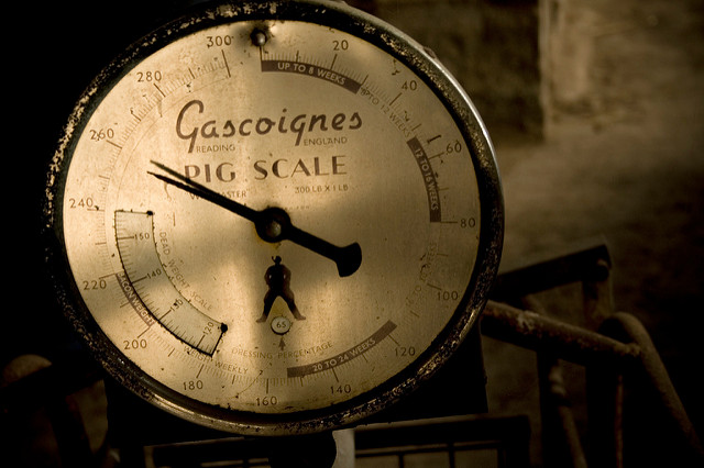 " Gascoignes Pig Scale " by @notnixon , licensed under CC BY-NC-SA 2.0 . Other pig images CC0 Public Domain.
