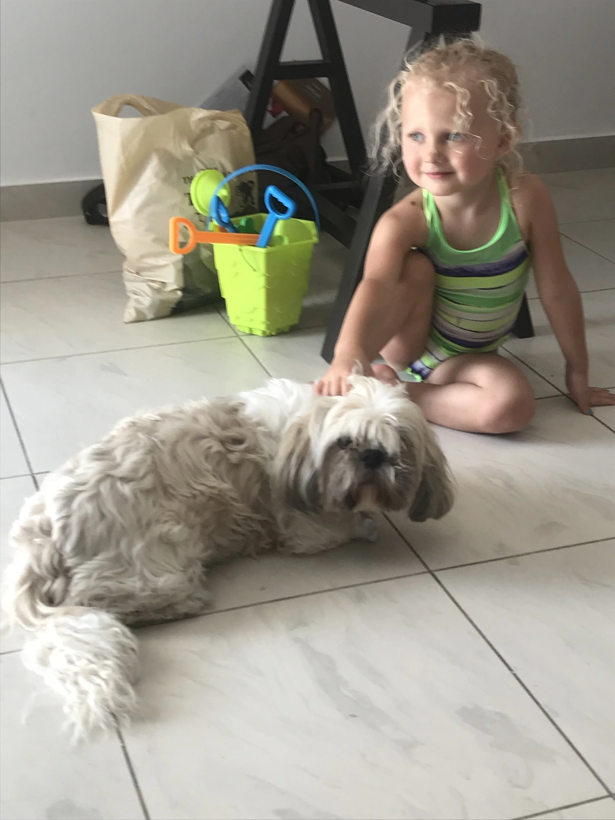 If we permed Cleo, they'd be twins. Such was their bond that surely when we get a house and dogess, she already has a namesake.