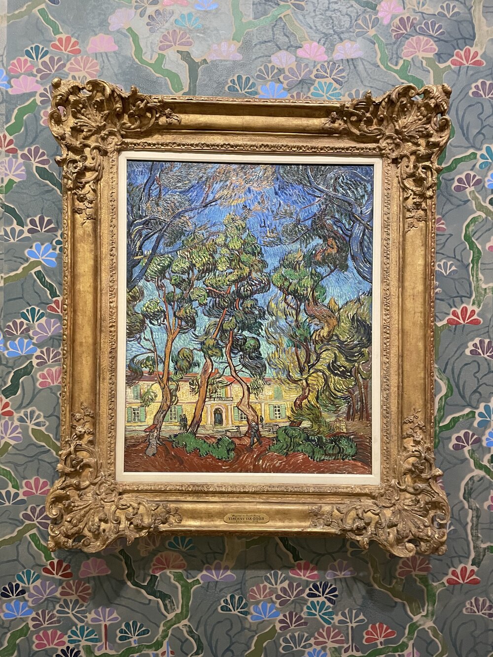 van Gogh trees.jpg