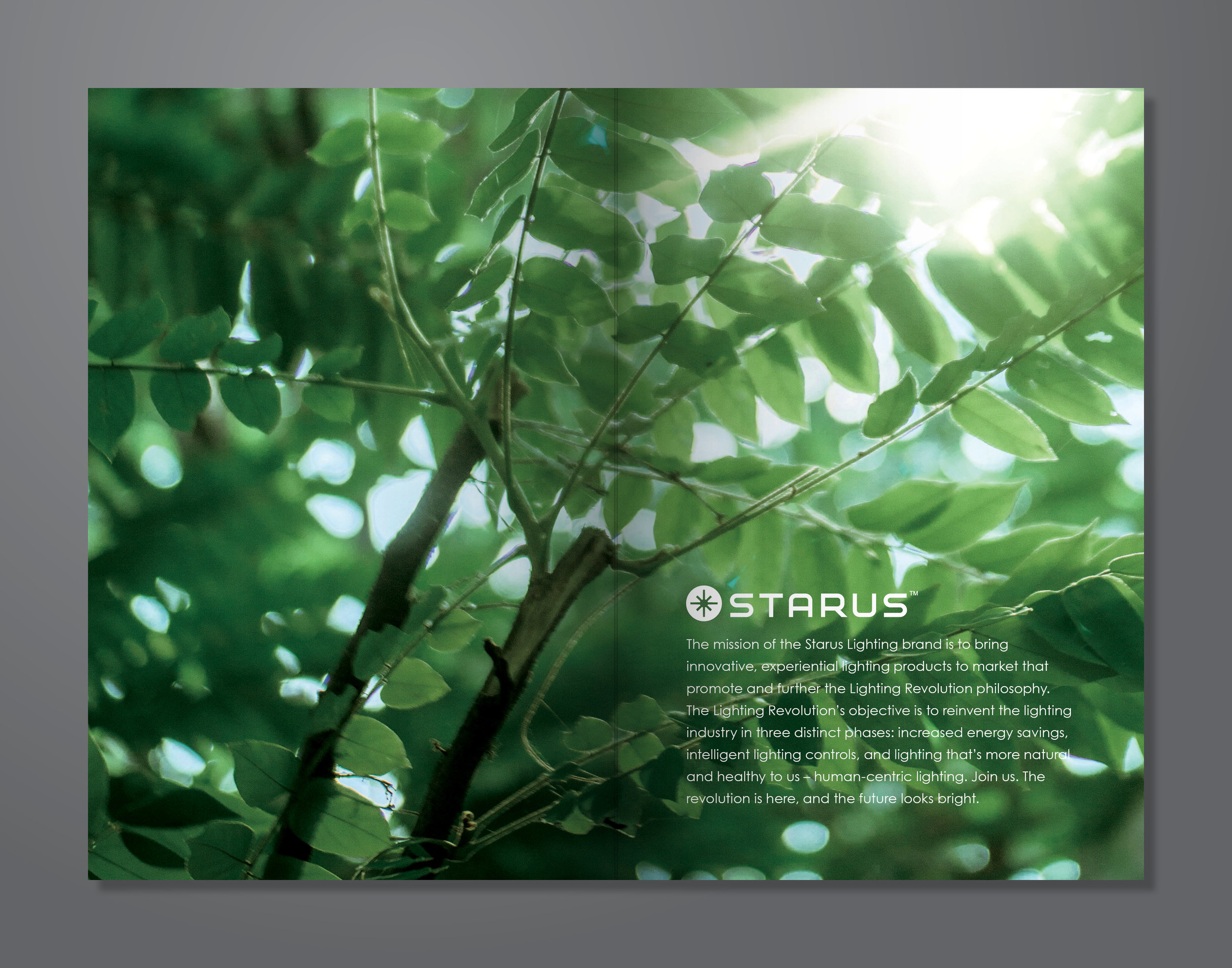 StarusBrochure-Mock12.jpg