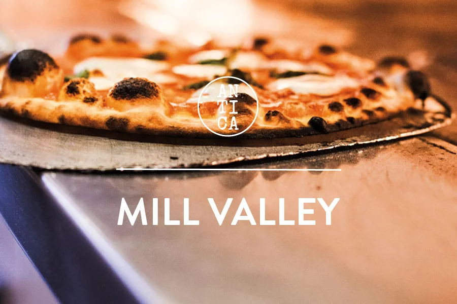 Happenings_900X600_MillValley.jpg