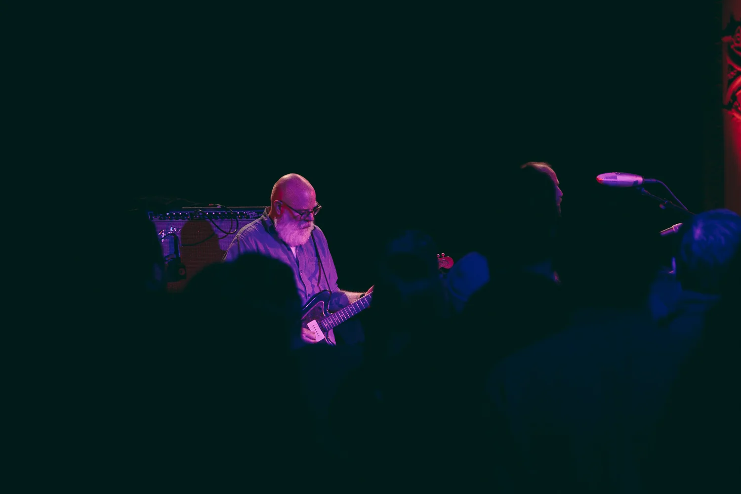 Tortoise-14.jpg