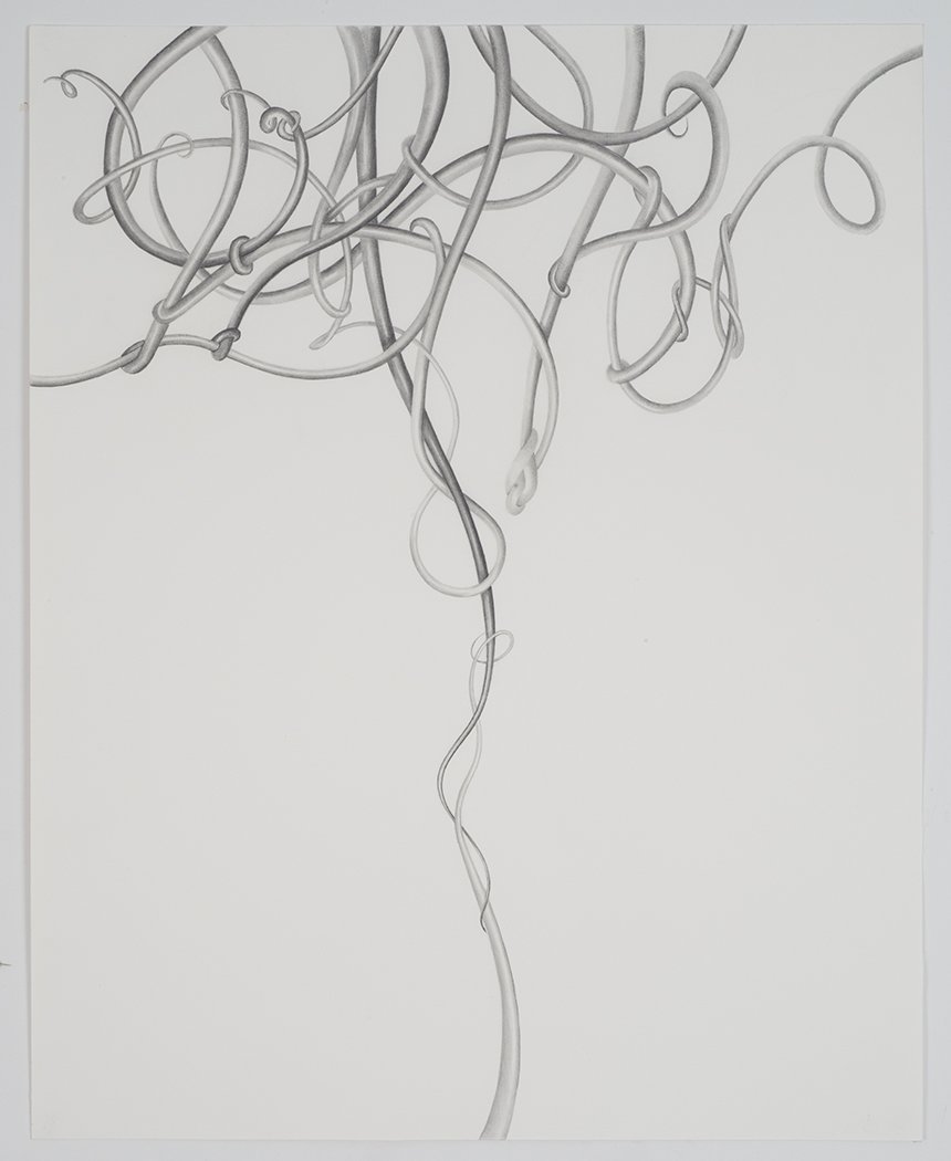 Tangled.jpg