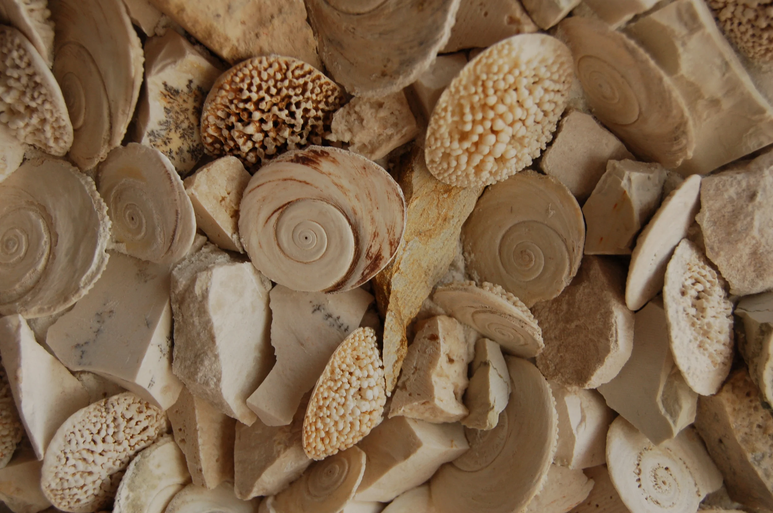 Detail, Time