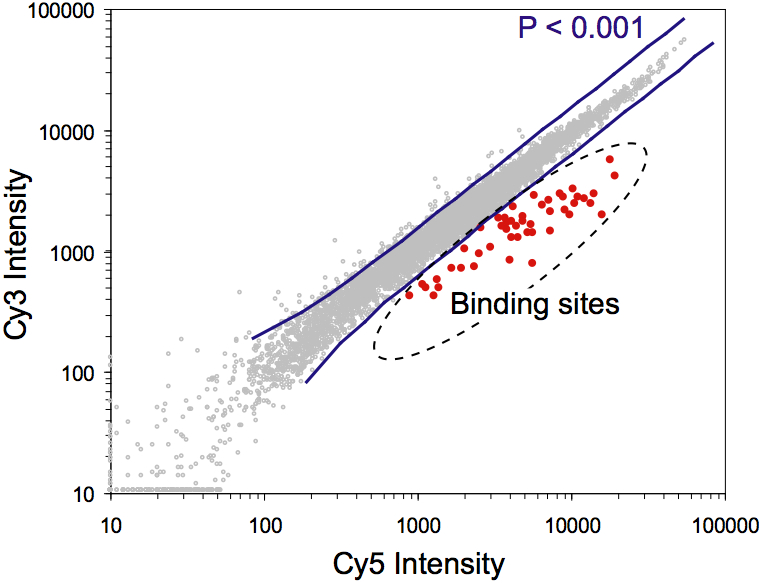 statistical analysis of array hybridization signal