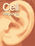 Cell Reports 2015.gif
