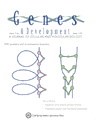 Genes Development 1999.gif