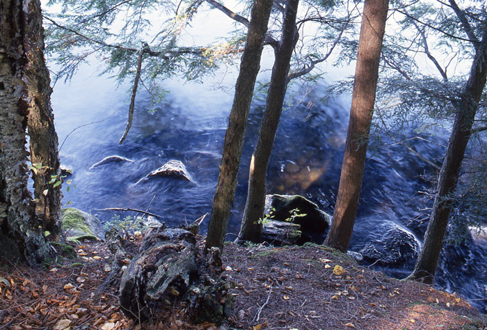 COPYRIGHT-BARBARA-HAYWARD-PHOTOGRAPHER--LAKE-PLACID-ADIRONDACKS-SHORELINE-BLUE-WATER.jpg