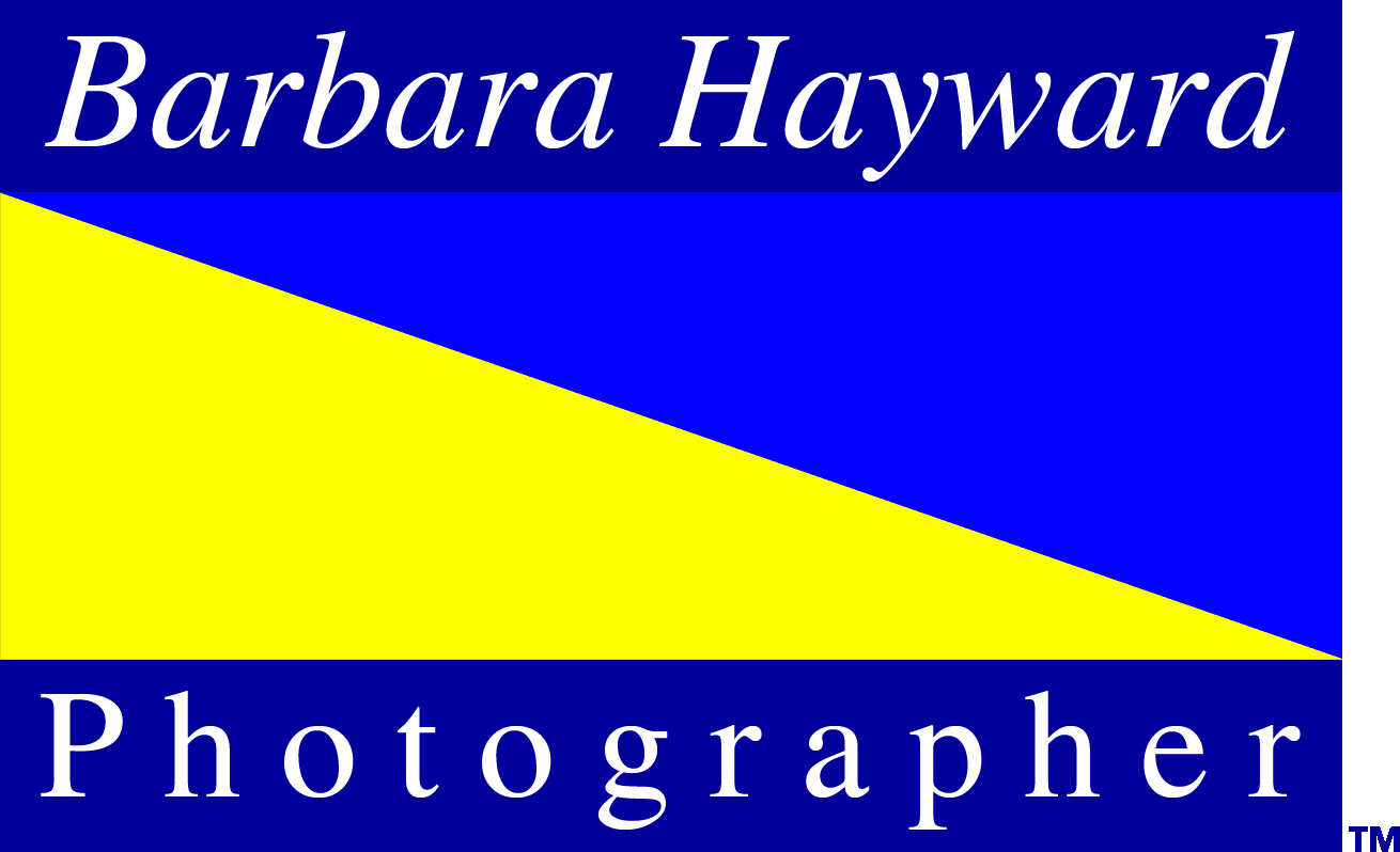 COPYRIGHT BARBARA HAYWARD PHOTOGRAPHER Nautical Logo TRADEMARK.jpg