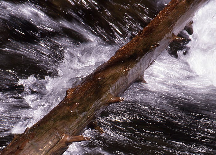 COPYRIGHT-BARBARA-HAYWARD-PHOTOGRAPHER--LAKE-PLACID-BROOK-ADIRONDACKS-.jpg