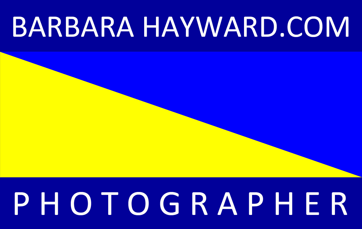 COPYRIGHT-BARBARA-HAYWARD-PHOTOGRAPHER-LLC-LOGO.jpg