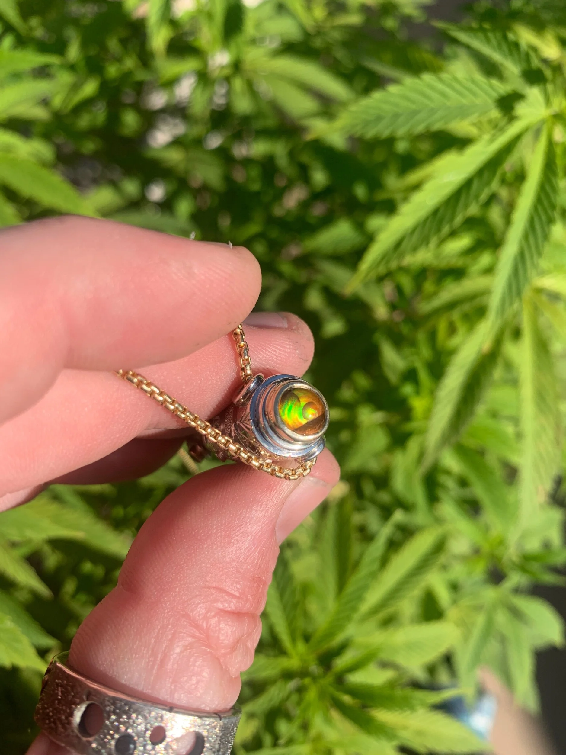 8488FFE1-1F63-4C6B-9403-14E7B3179E82