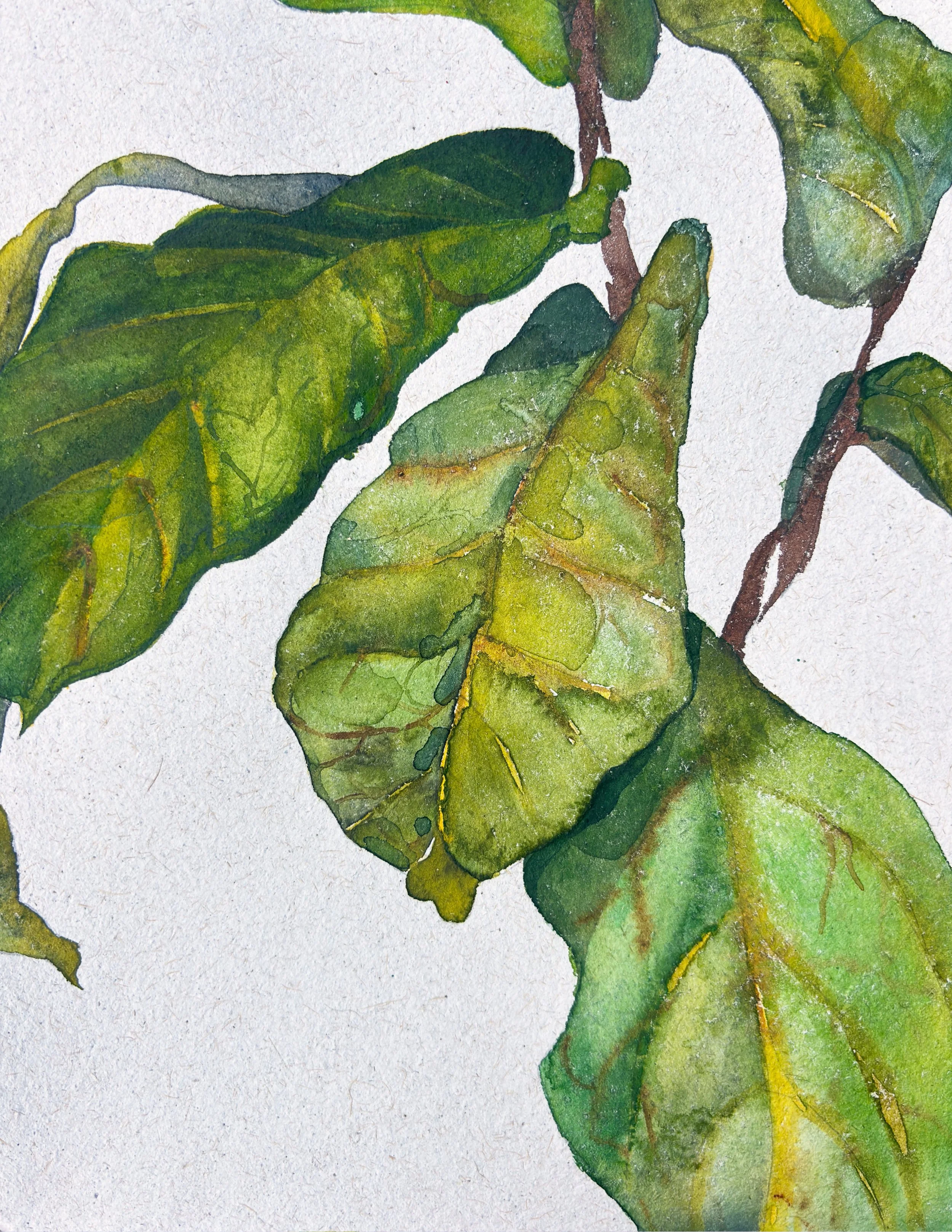 fig.jpg
