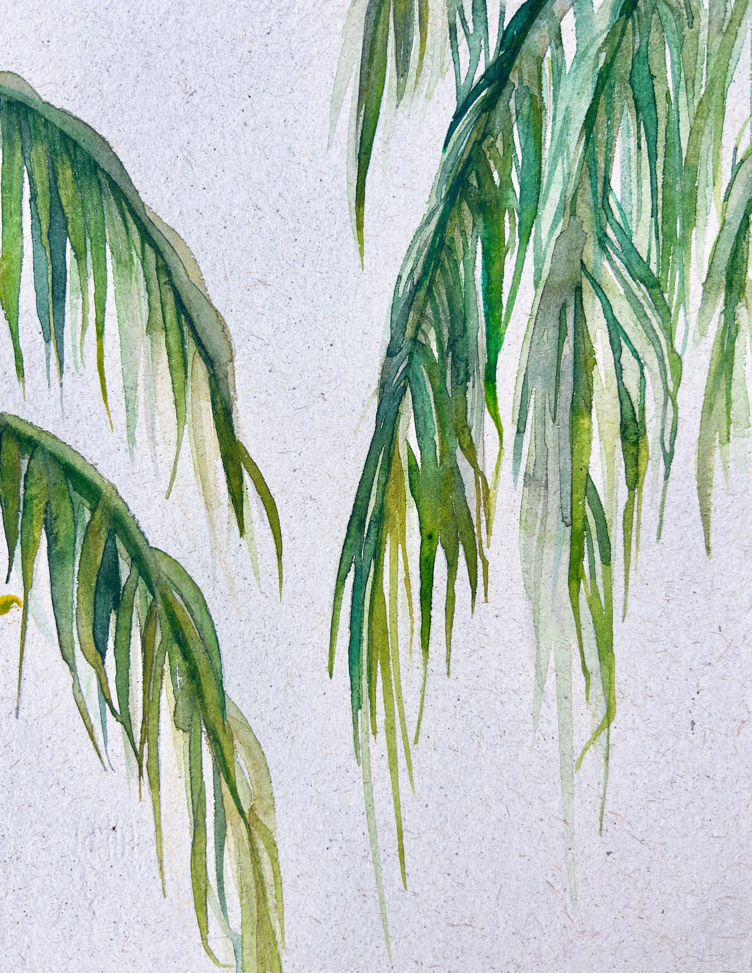 palm.jpg
