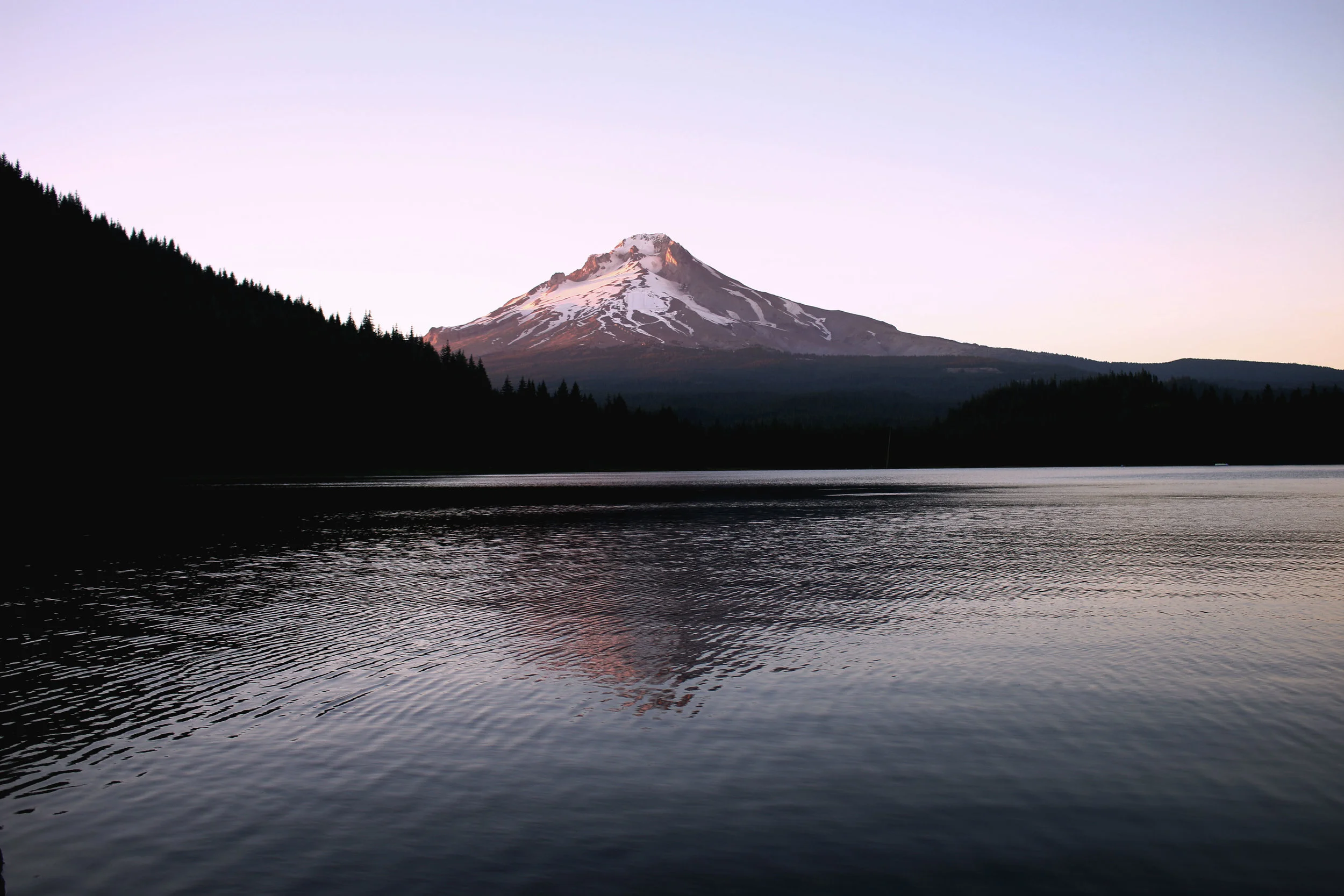 Trillium2.jpg