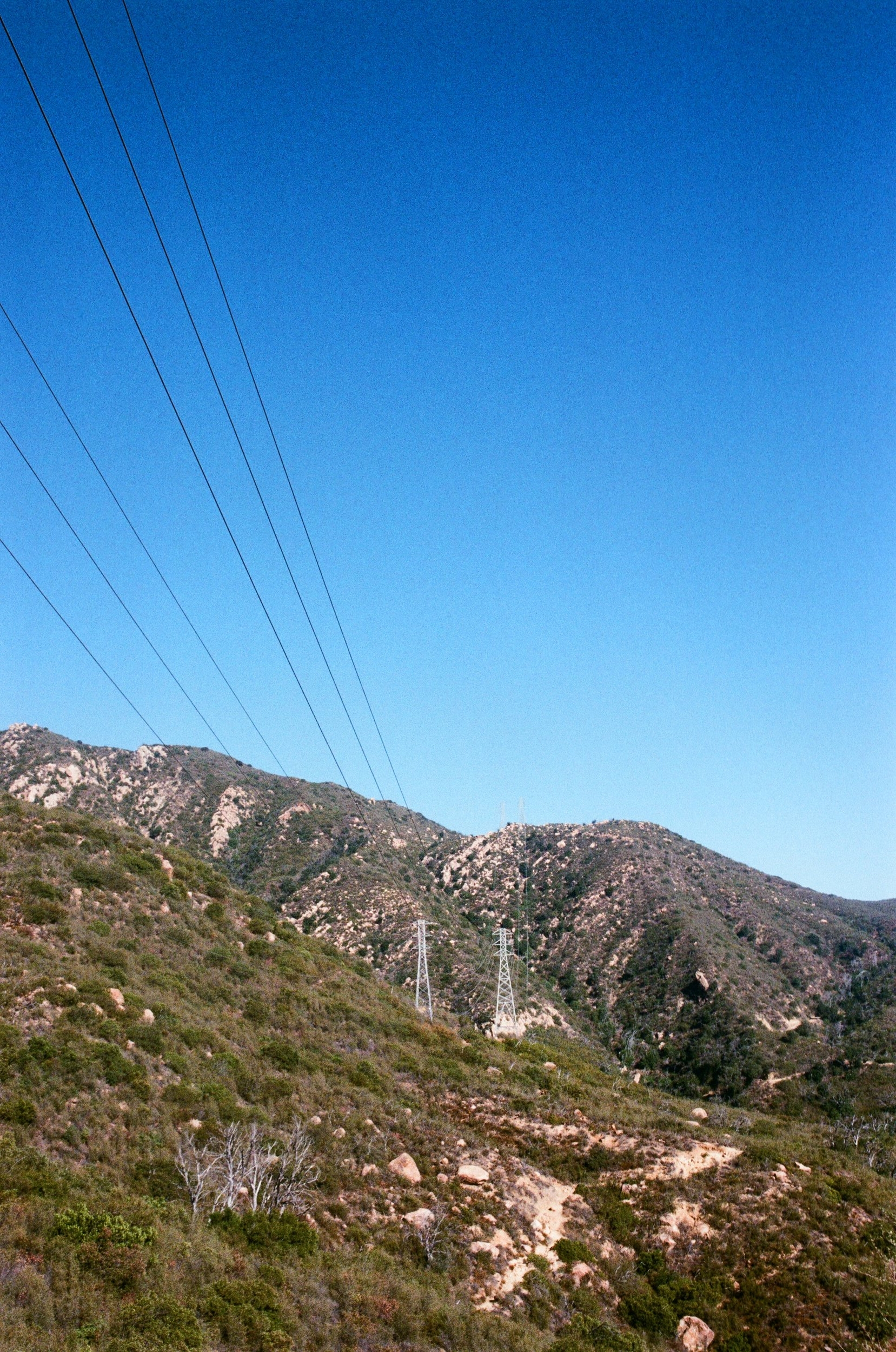 000025320012.jpg