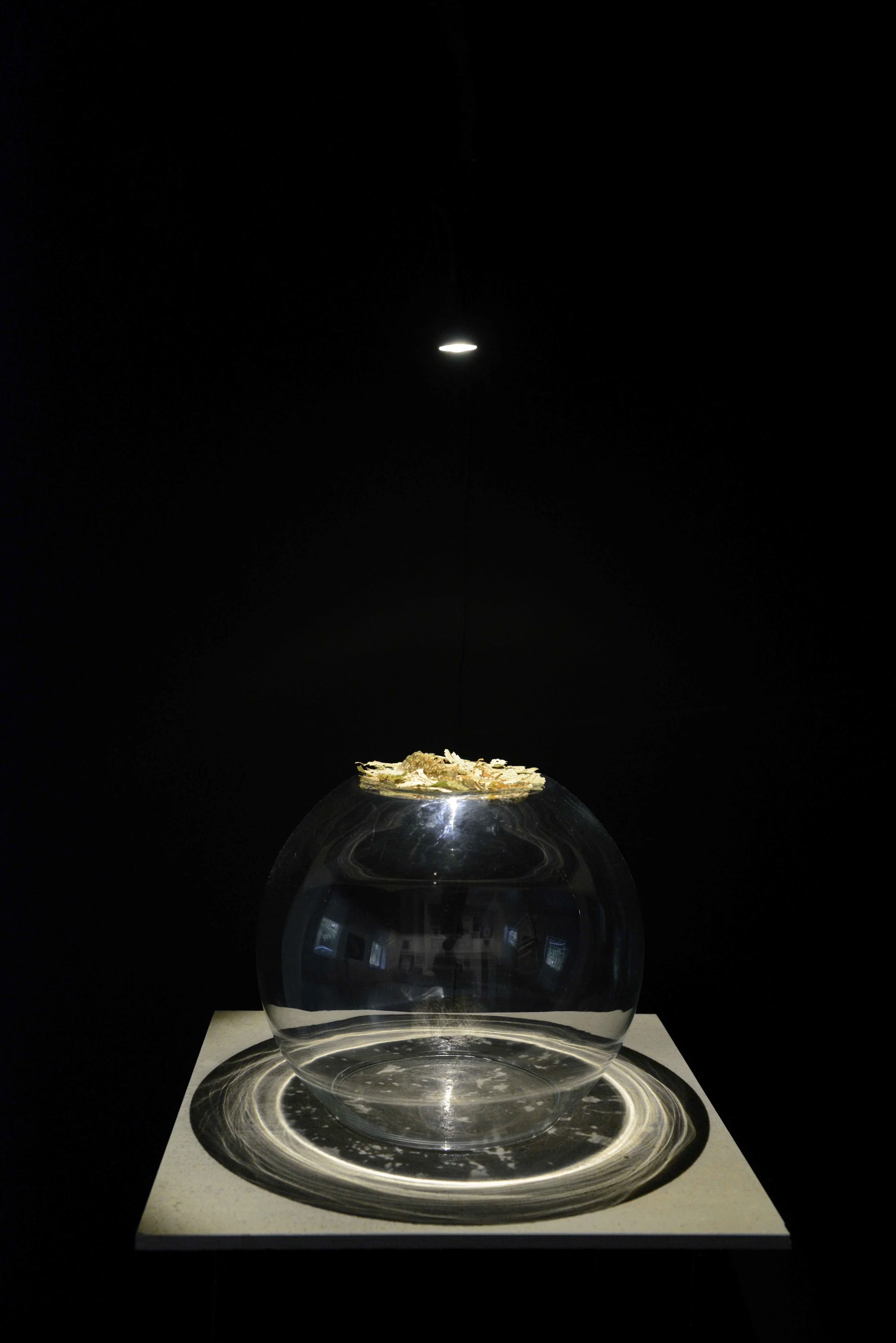 _DSC1954 copia.jpg