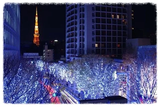 ロケ地は六本木けやき坂。この時期、イルミネーションで大人気のスポット✨