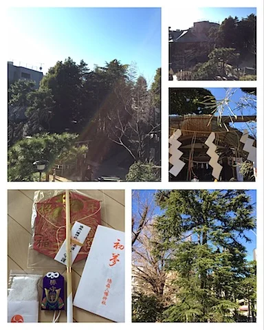心が洗われた元日・・