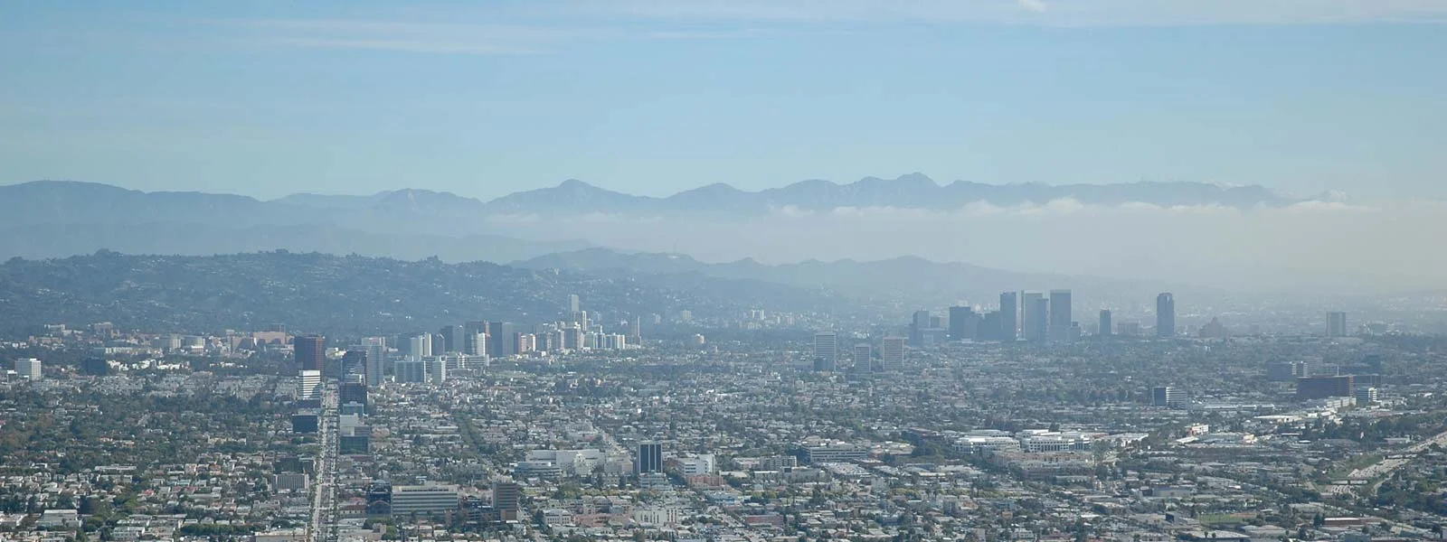 wilshire_banner_01.jpg