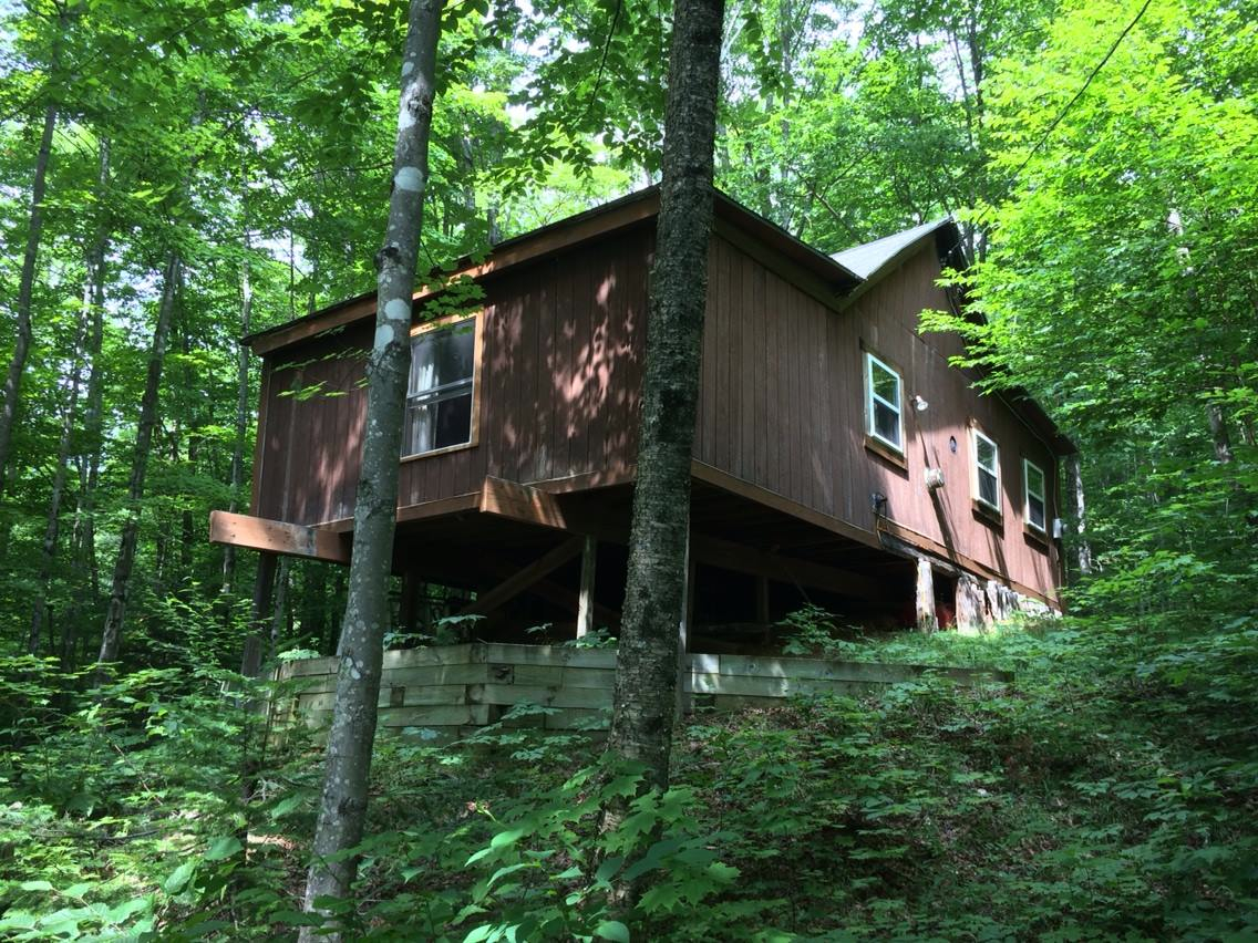 The Cabin