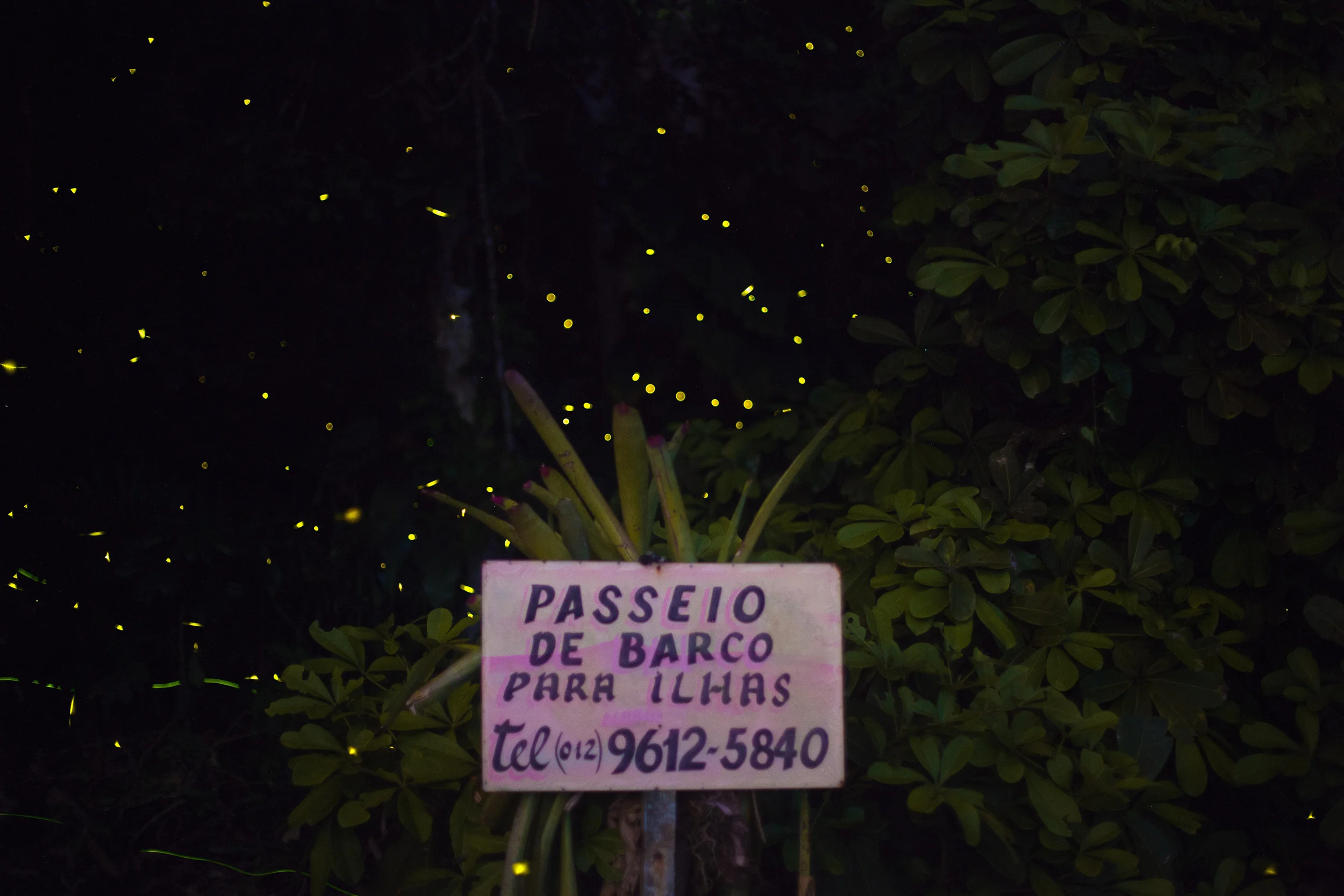 Plaquinha.jpg