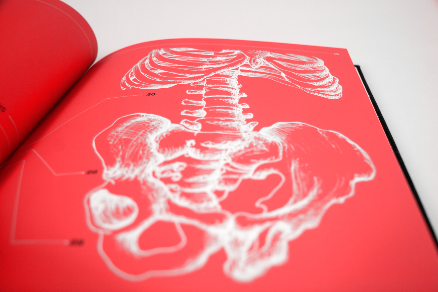 pf_tat_skeleton.jpg