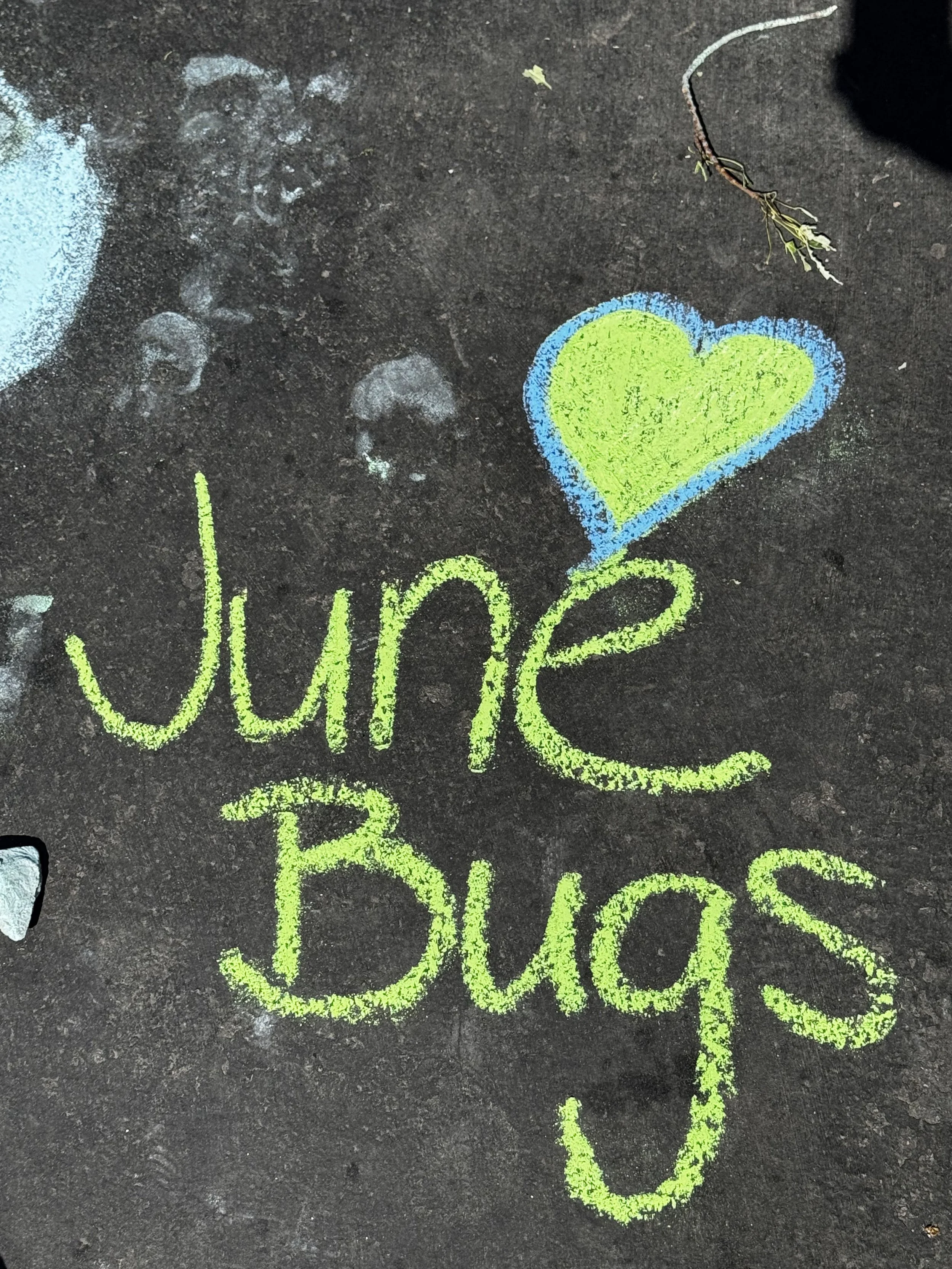 PUNS June Bugs 8.jpg