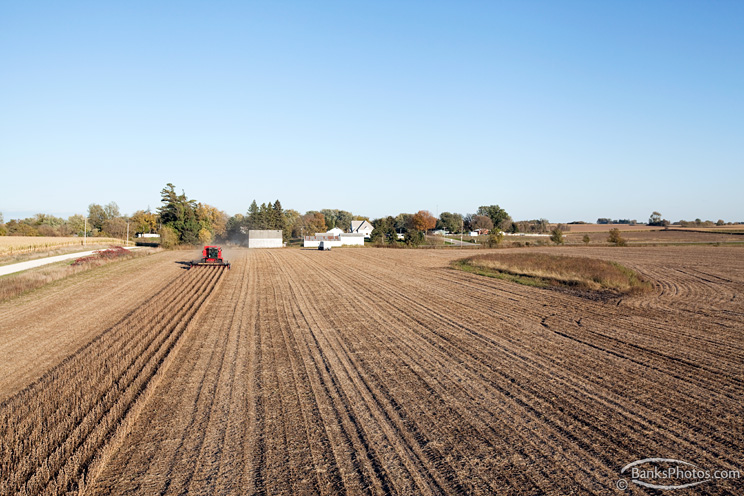 IMG_7485_SS-Combine-Soybeans.jpg