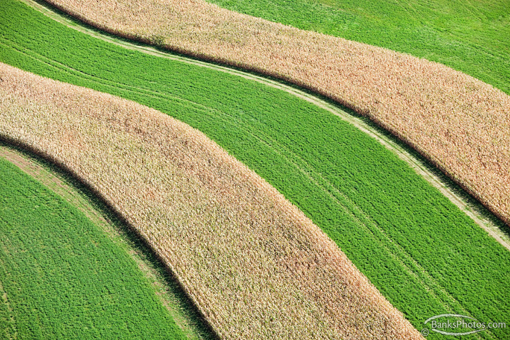 IMG_4662_SS-Corn-Hay-Strip-Crop-Aerial.jpg
