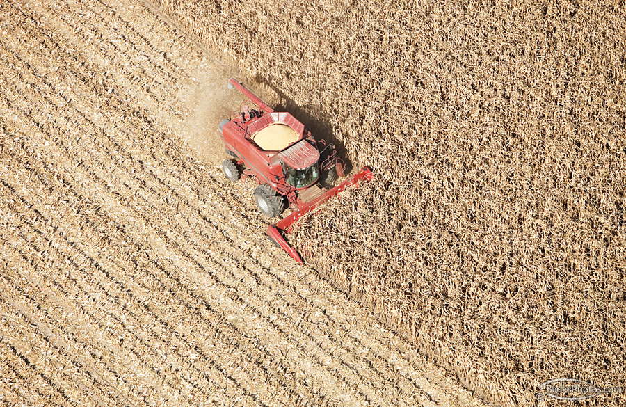 IMG_4710_SS-Case-Combine-Harvesting-Corn-Aerial_Lg.jpg