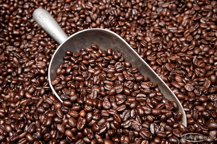 IMG_4517_SS-Roasted-Coffee-Scoop.jpg