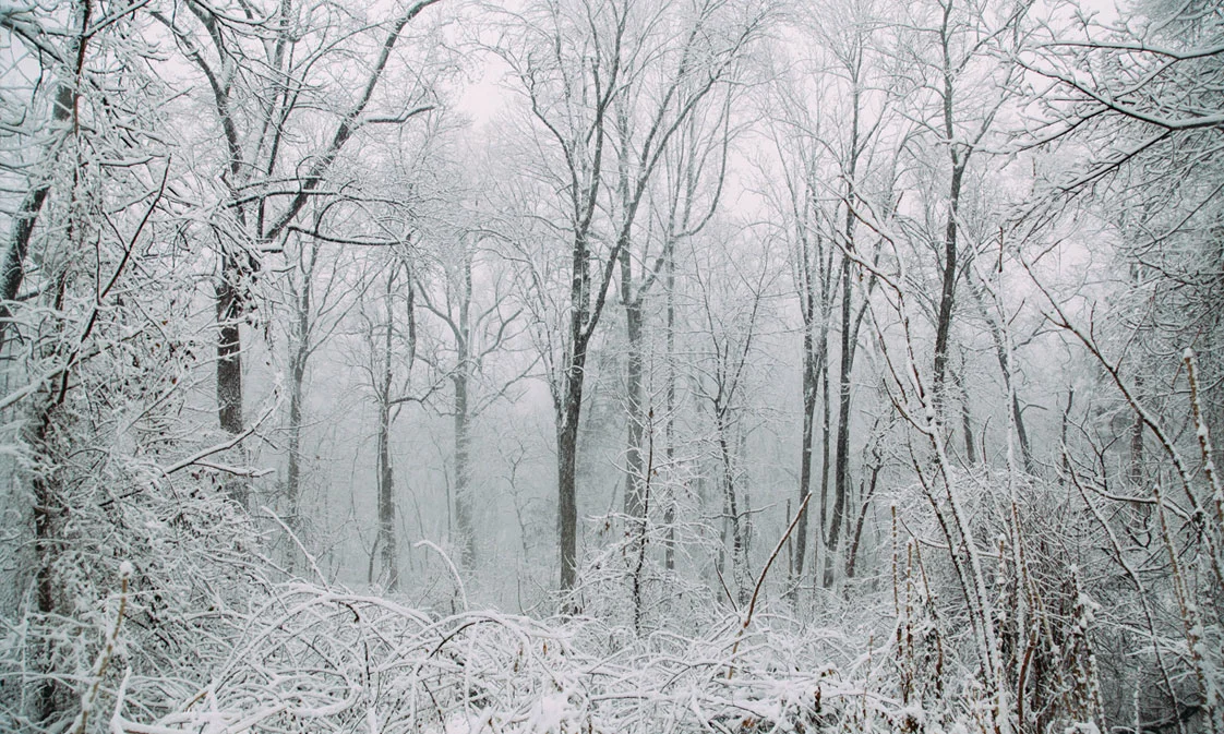wissahickon-feature.jpg