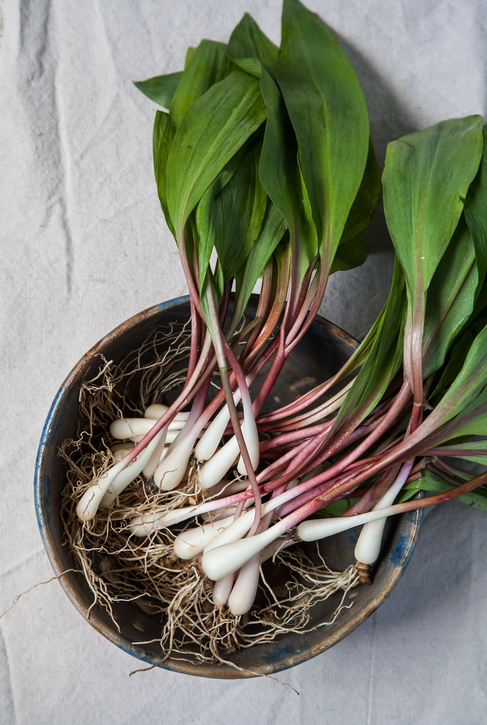 140515_ramps-68.jpg