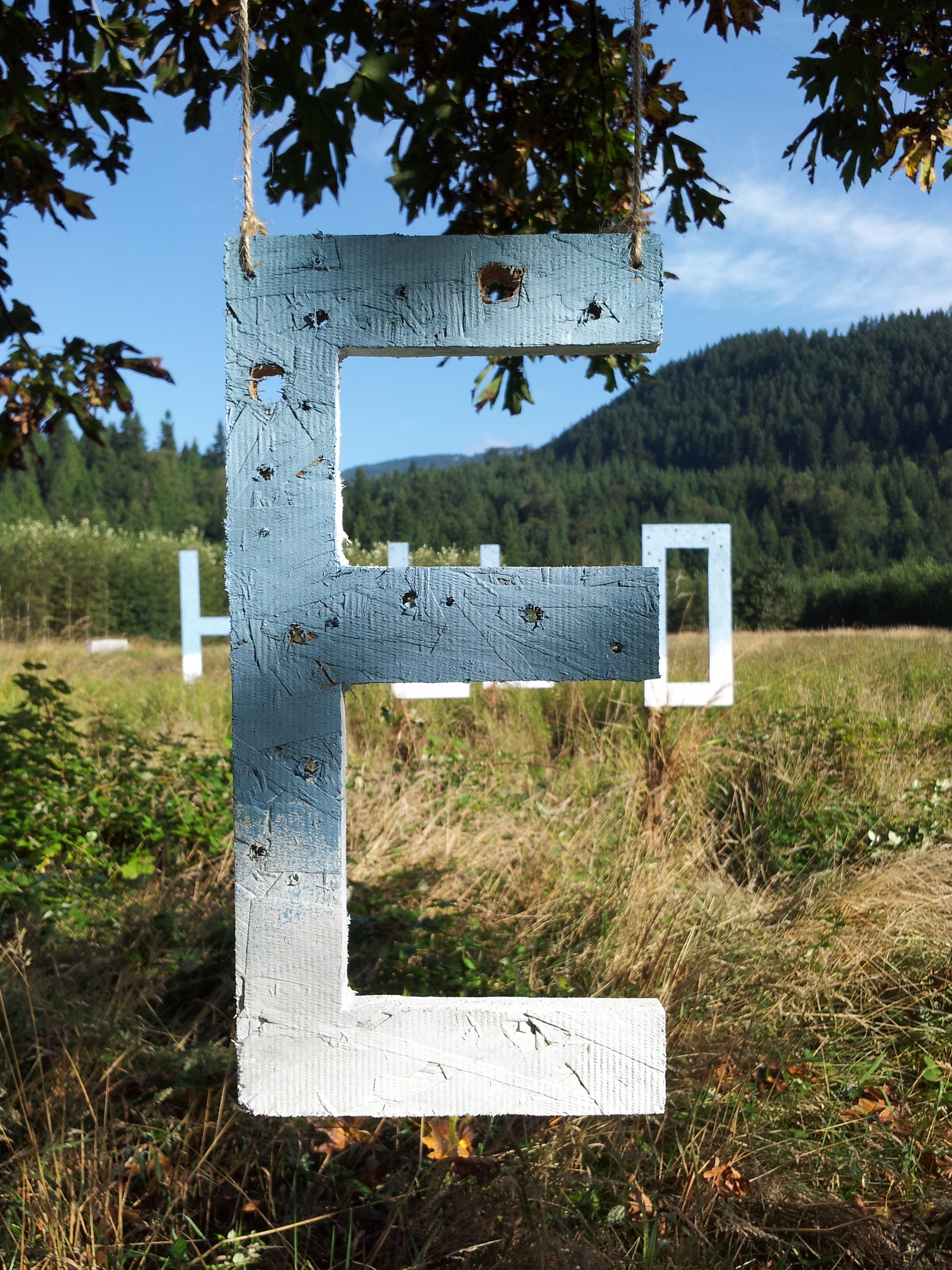 hello field E.jpg