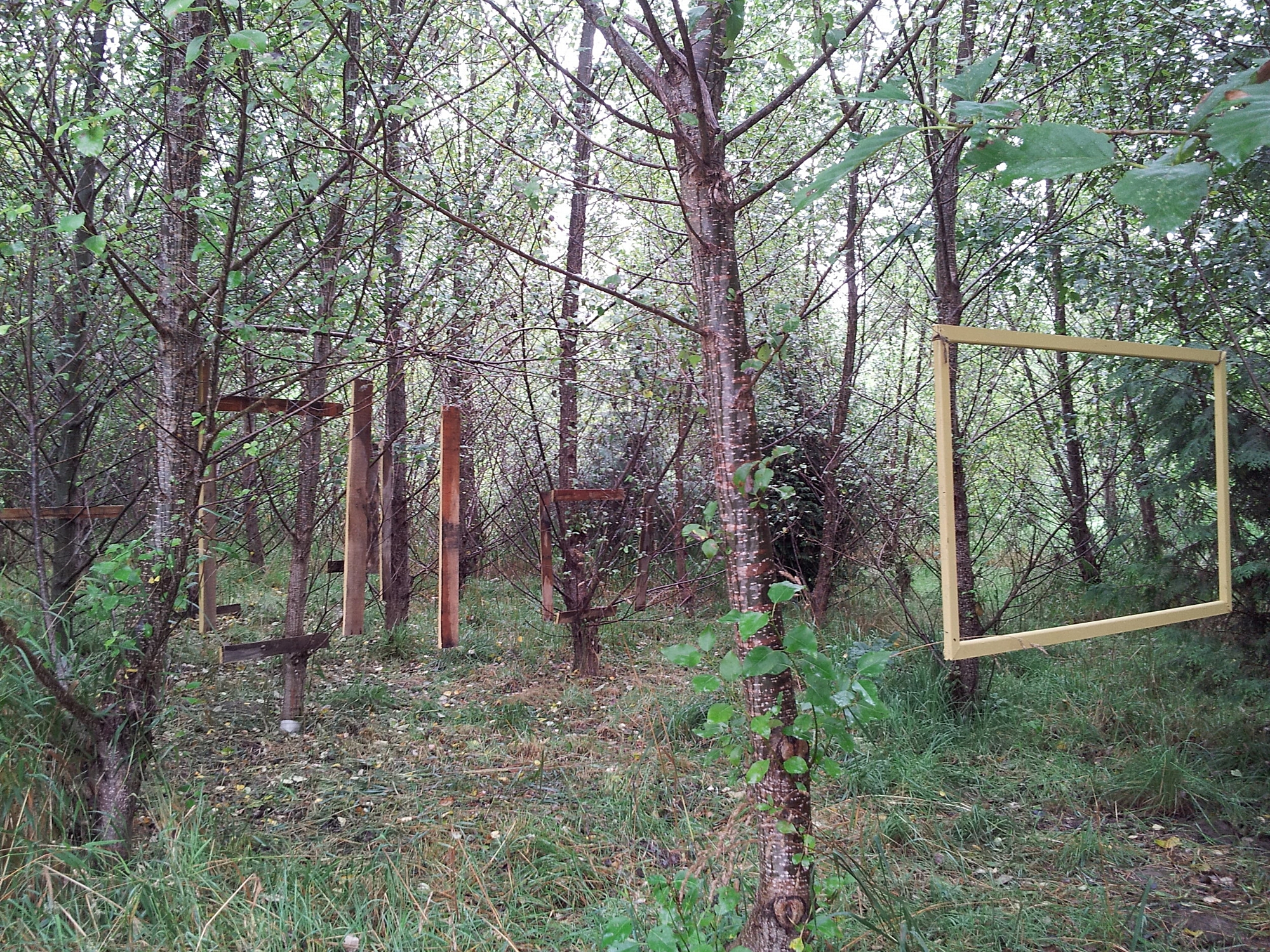 hello woods side with frame.jpg