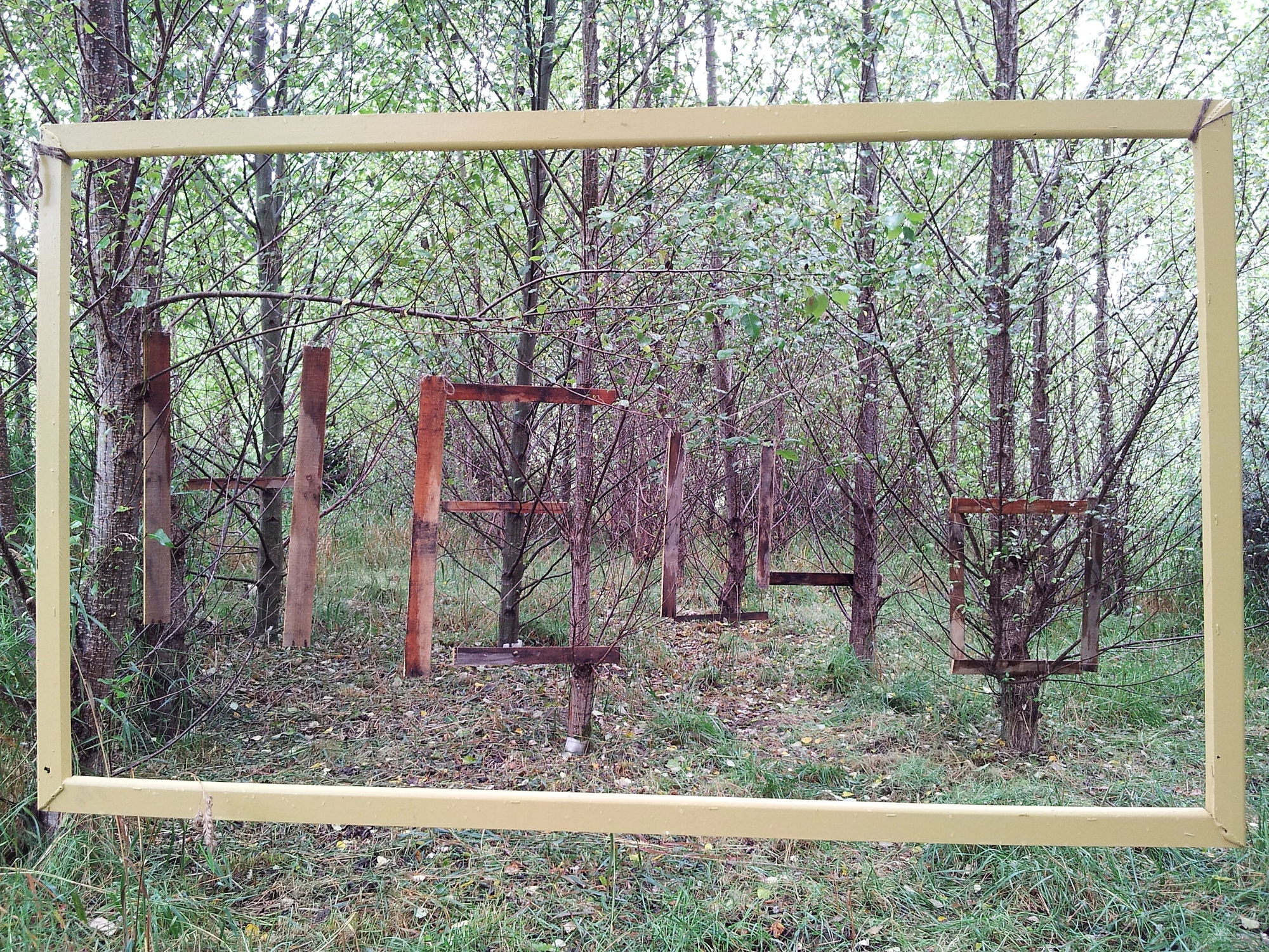 hello woods with frame overcast.jpg