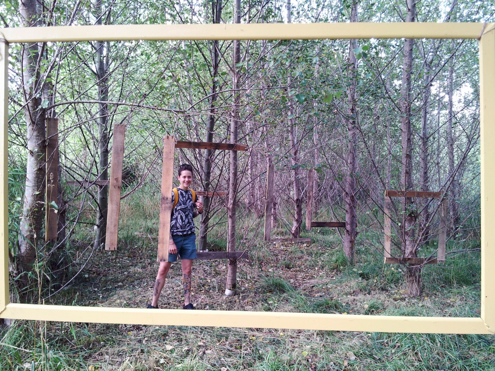 hello woods with ilvs woods.jpg