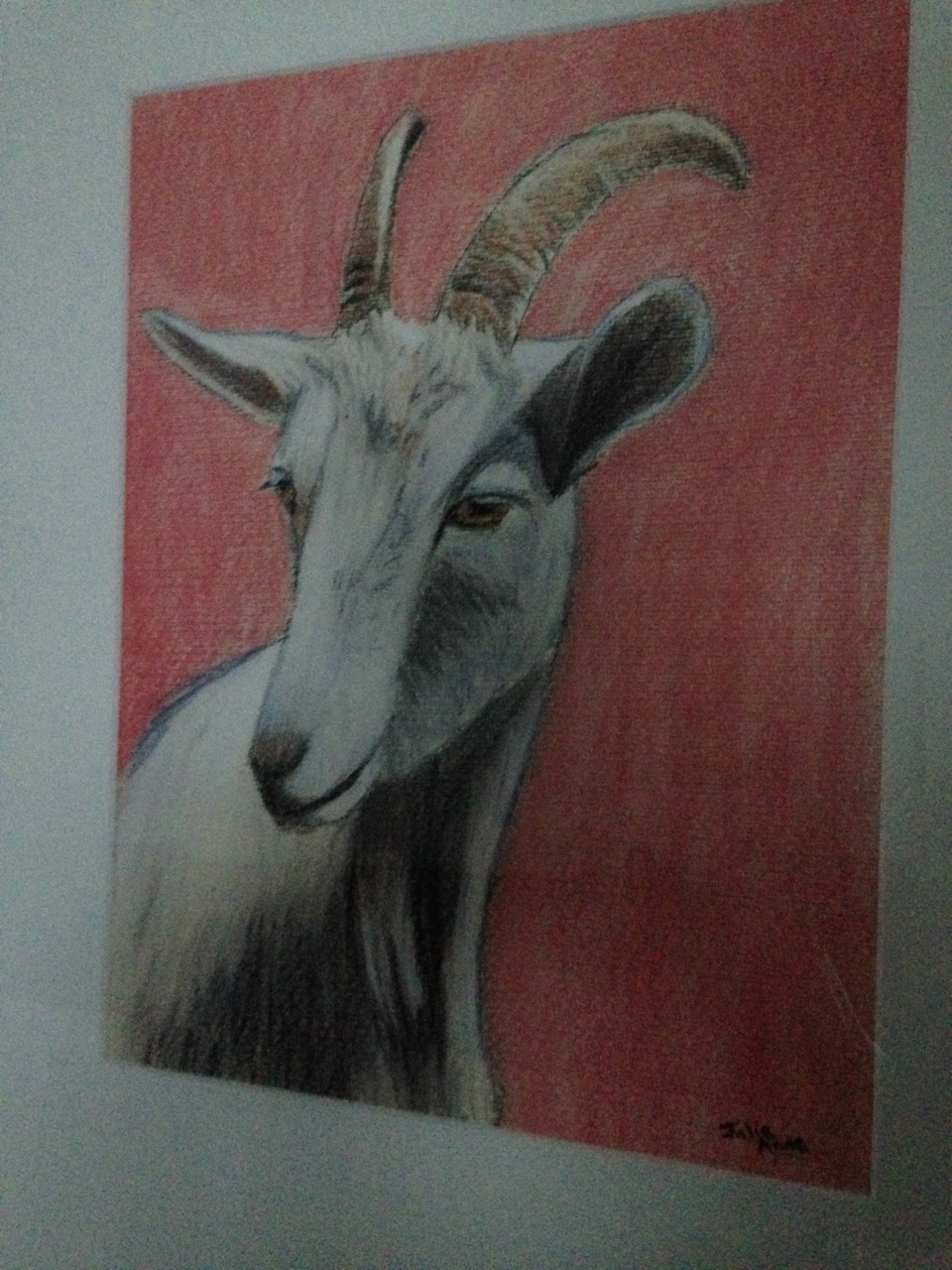 Local Goats - Solo Show by Julie Anne Babin
