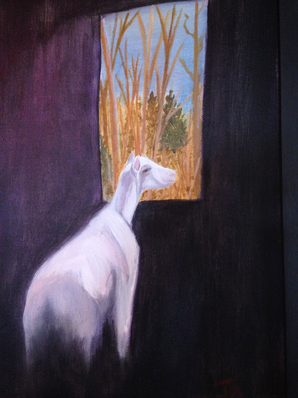 Local Goats - Solo Show by Julie Anne Babin