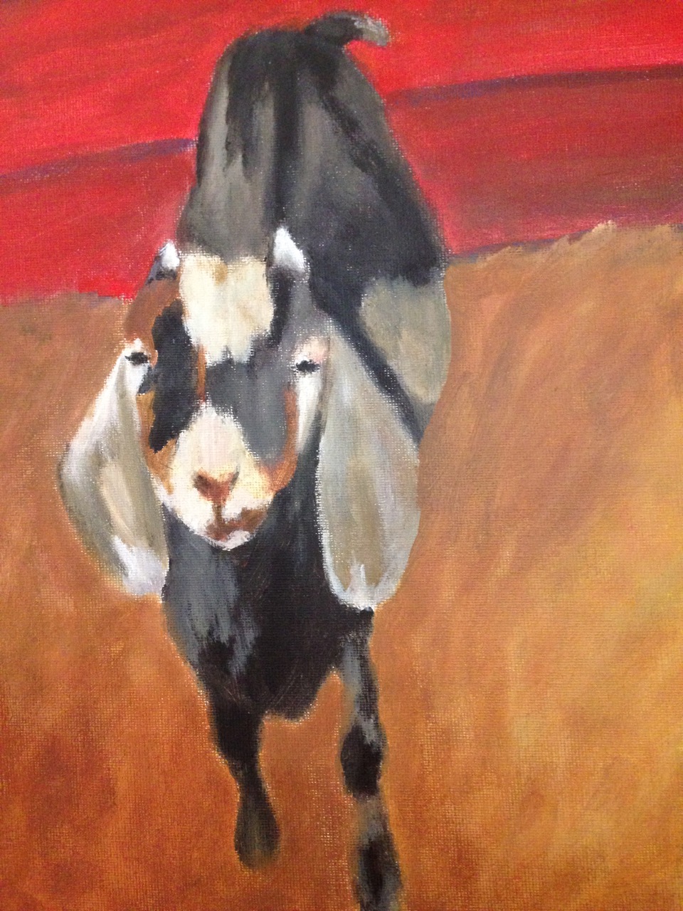 Local Goats - Solo Show by Julie Anne Babin