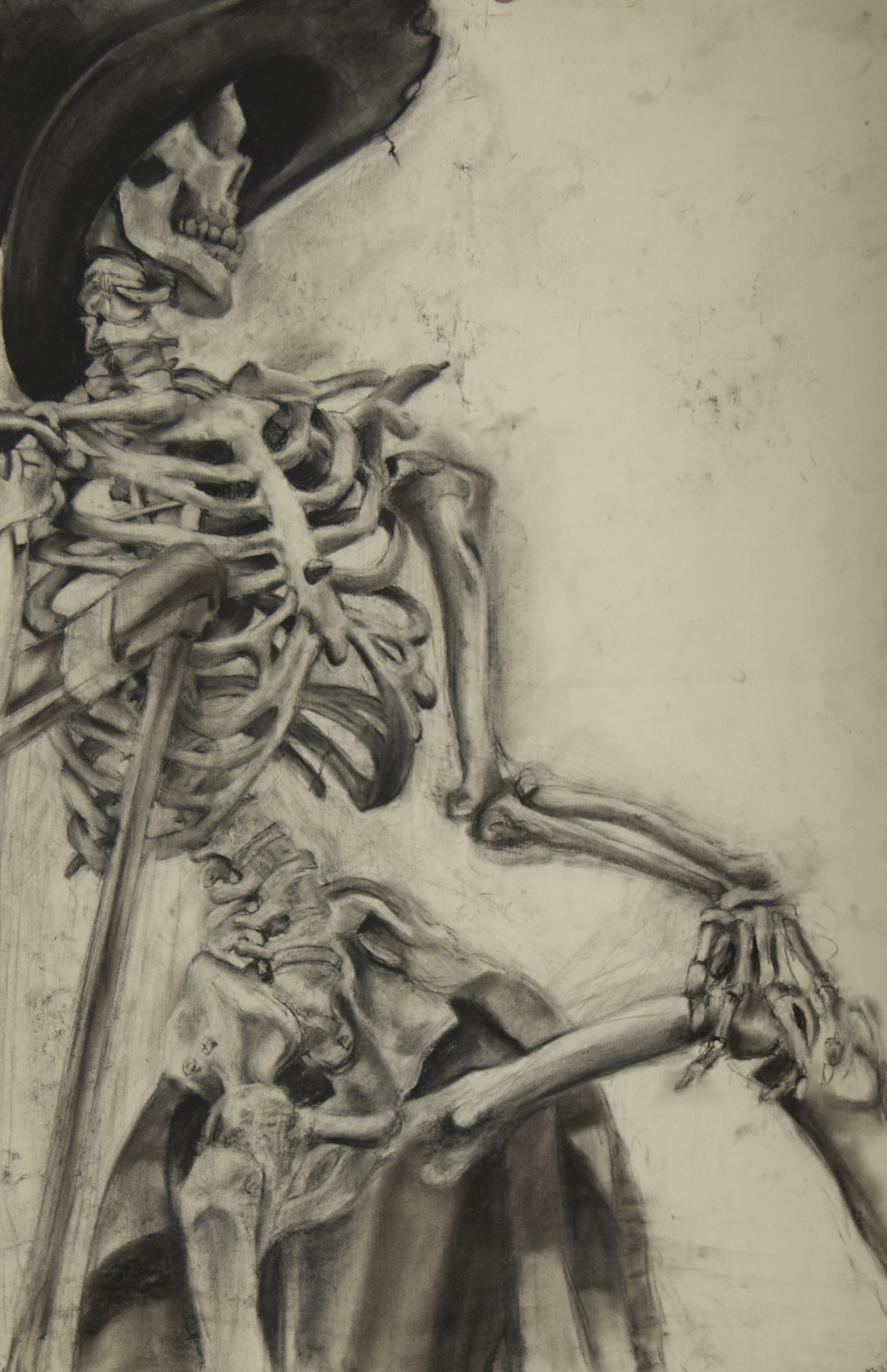 Skeleton Still Life