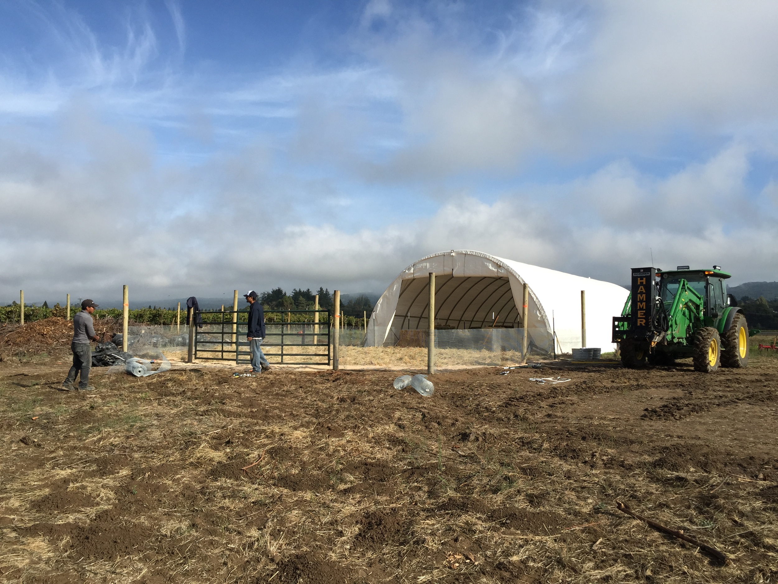 Building the temporary home for our sheep / pigs and new dogs.