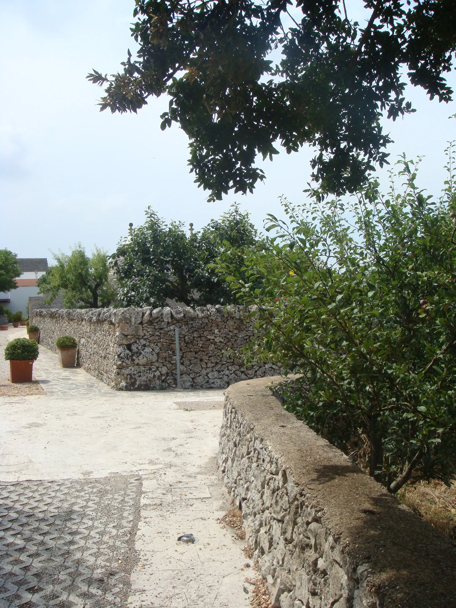 DSC01376