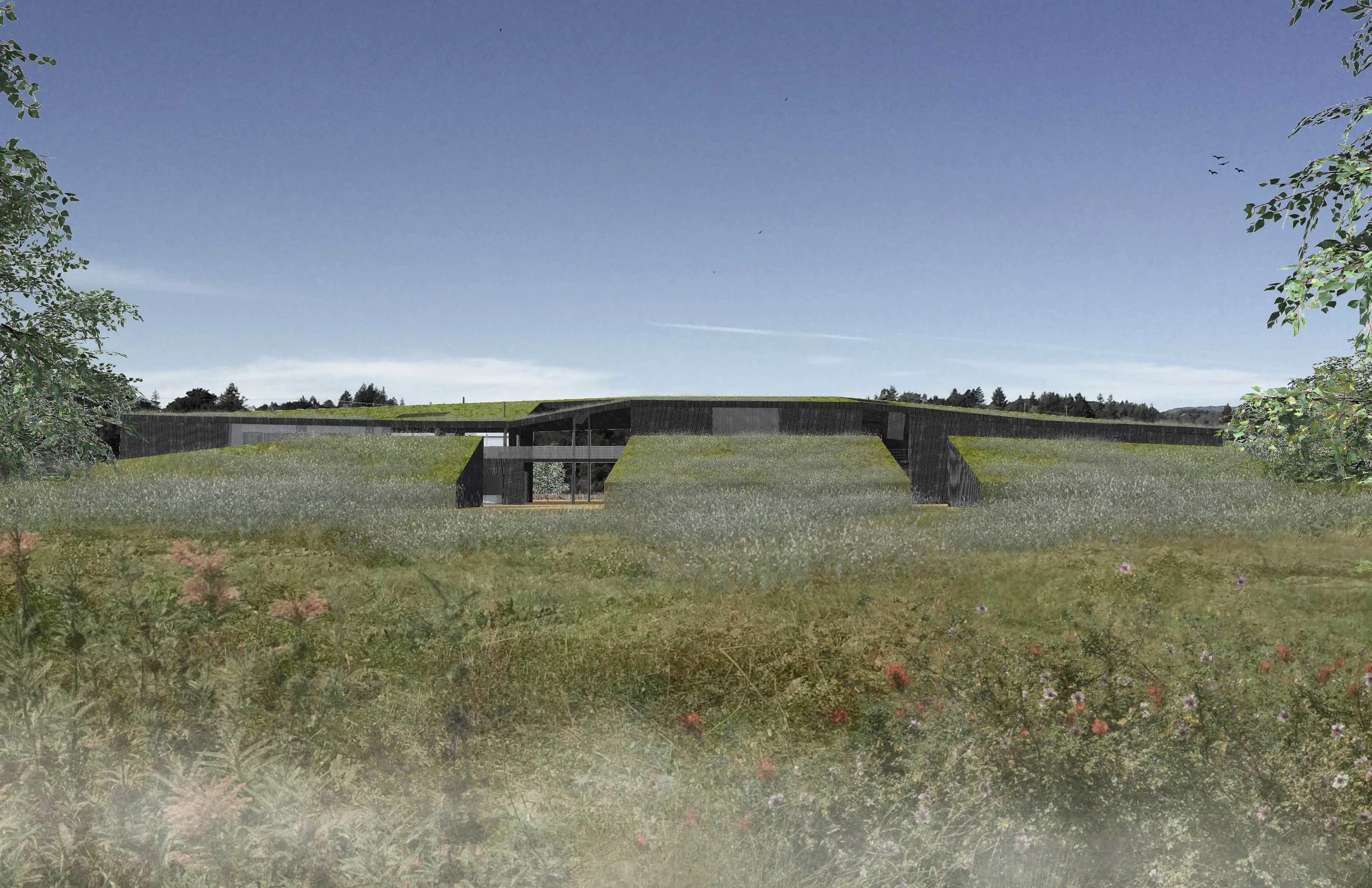 South Facing Side of the 300 Ft Long Noci Barn Complex. This building is broken up into 6 buildings. Three main buildings with room for a 100 ft kitchen, workshops and members lounge. Plus office space and theater space. The additional three buildings are pictured above with grass roofs. These are storage and root cellars. Total of 7000 sq ft of storage.
