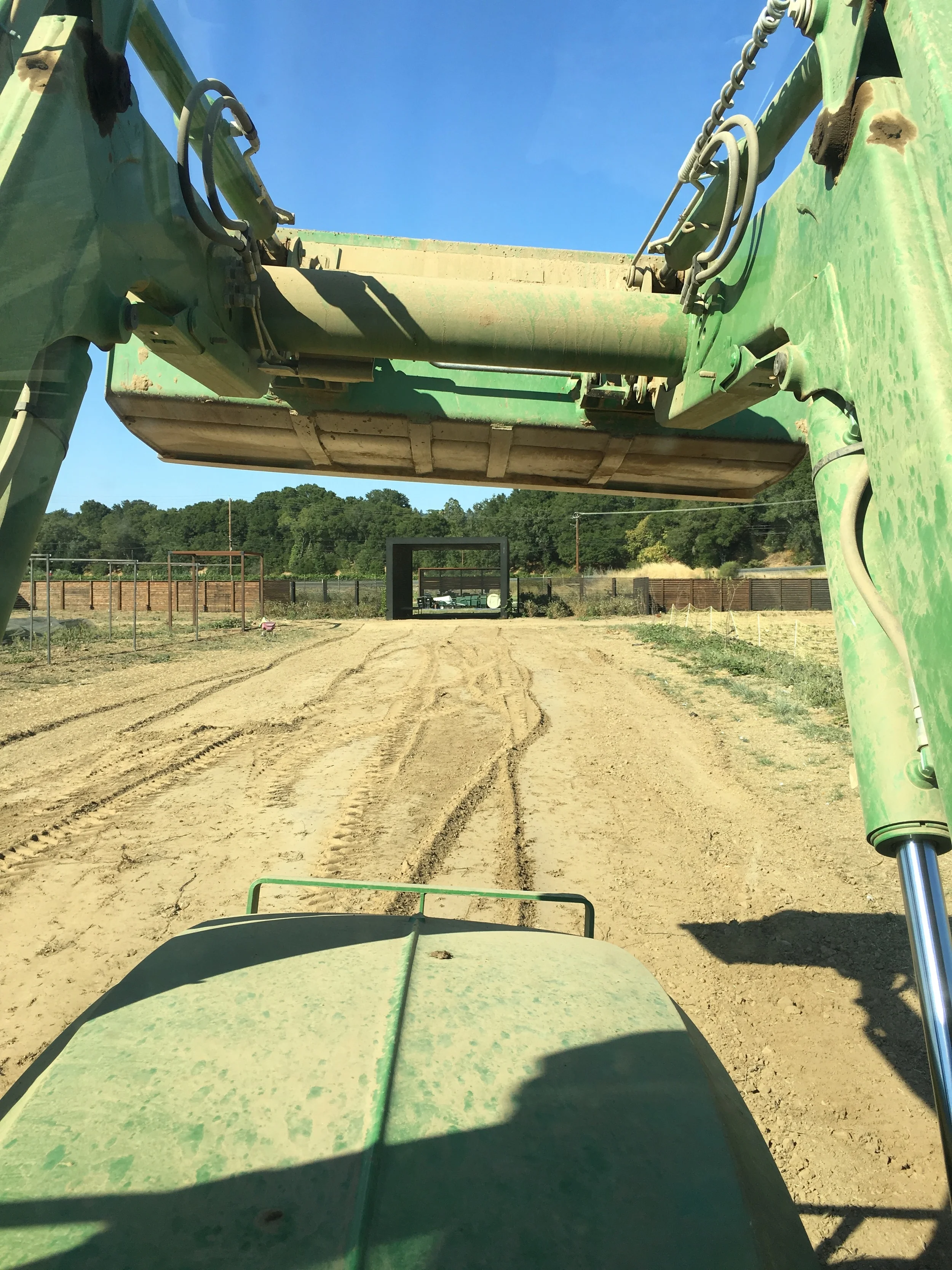 Part of the Grand Avenue leading to the portal. Hopefully this is the last time it will look like a dirt path. We will begin planting this weekend.
