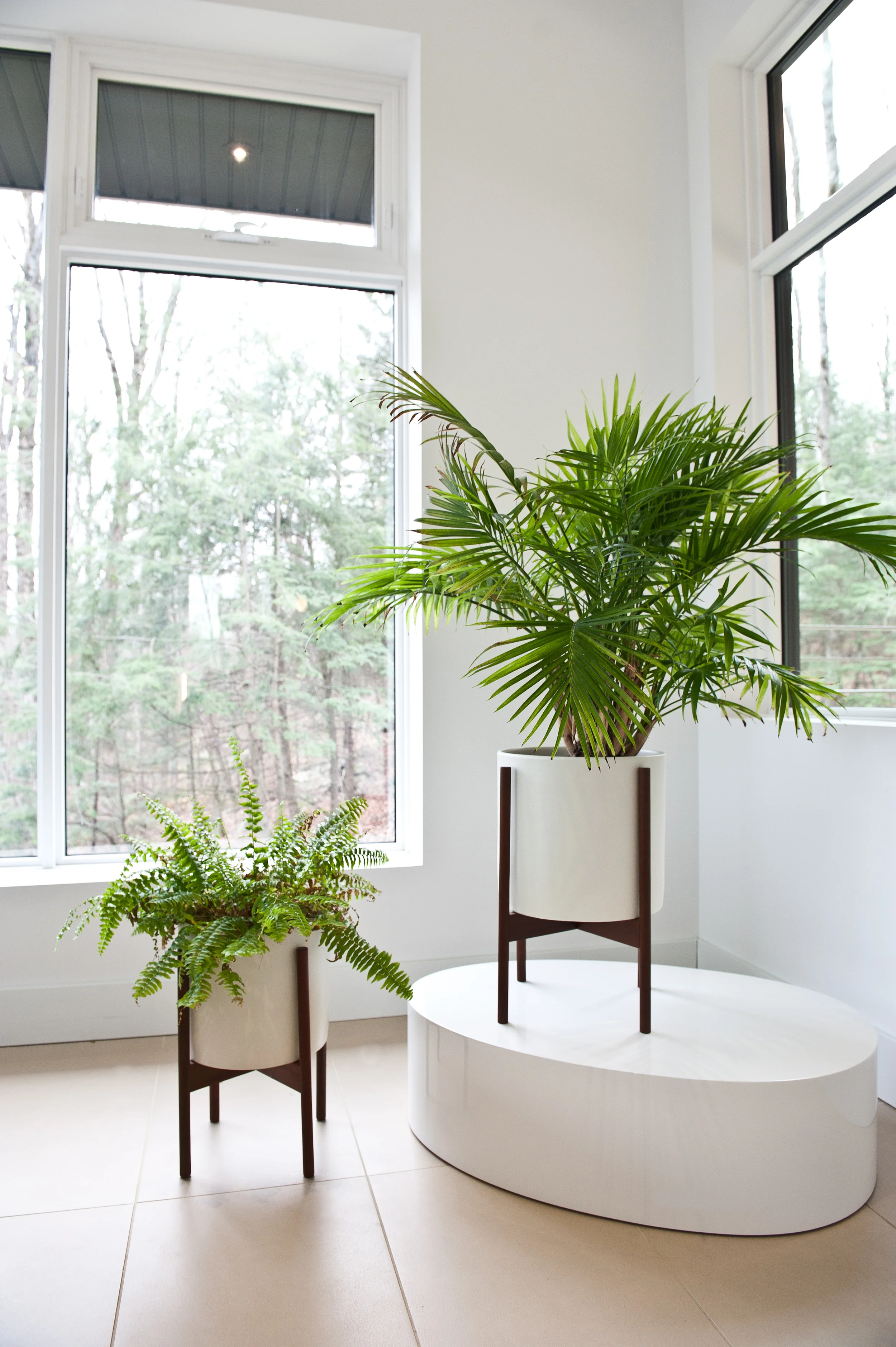 Caffin_par Teixeira-152.JPG