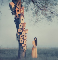 by Oleg Oprisco
