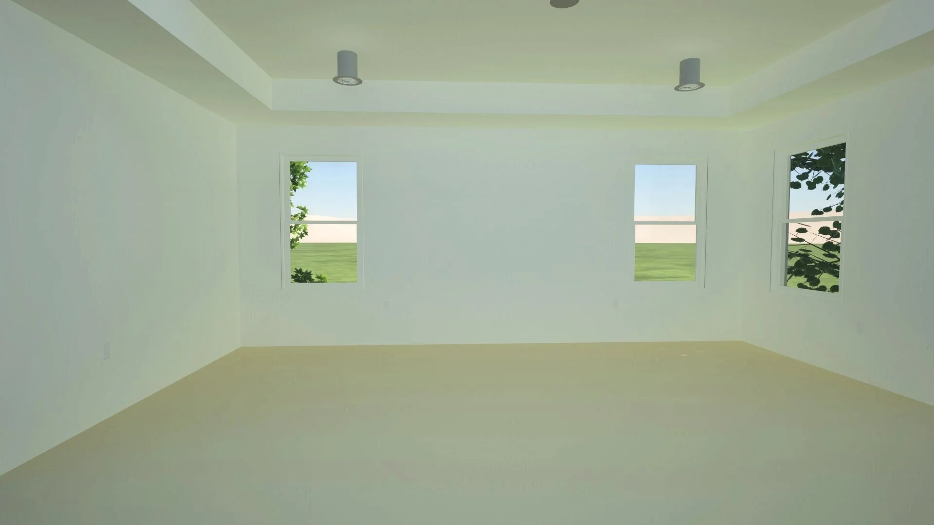 Image4.jpg